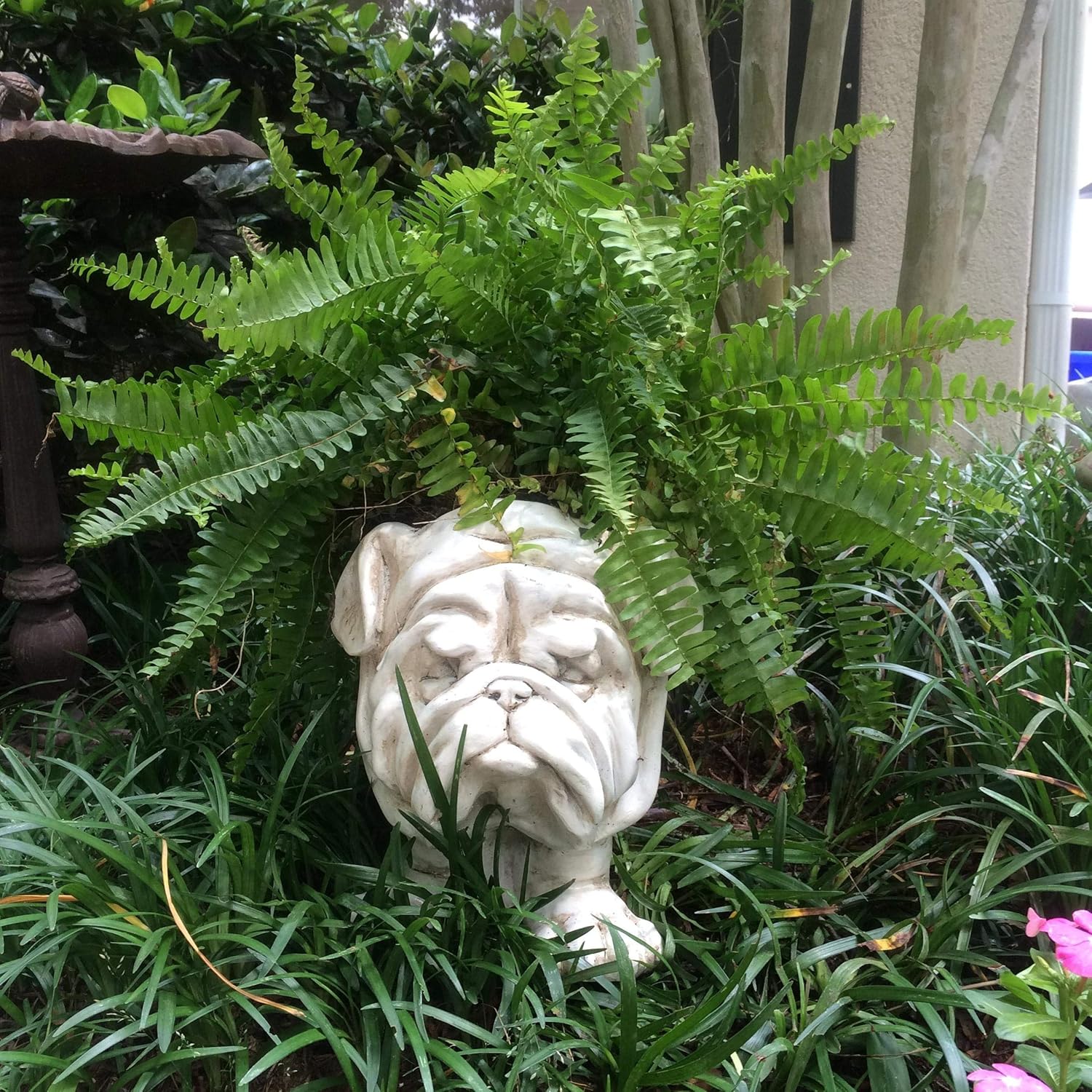 Antique White Bulldog Statue Planter Holds 5 in. Pot q7