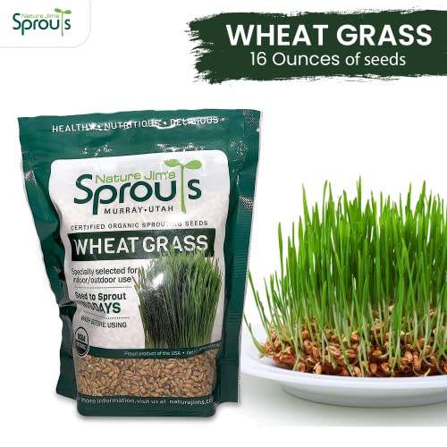 Nature Jims Sprouts Organic Wheatgrass Seeds for Sprouting, Non-GMO W25692