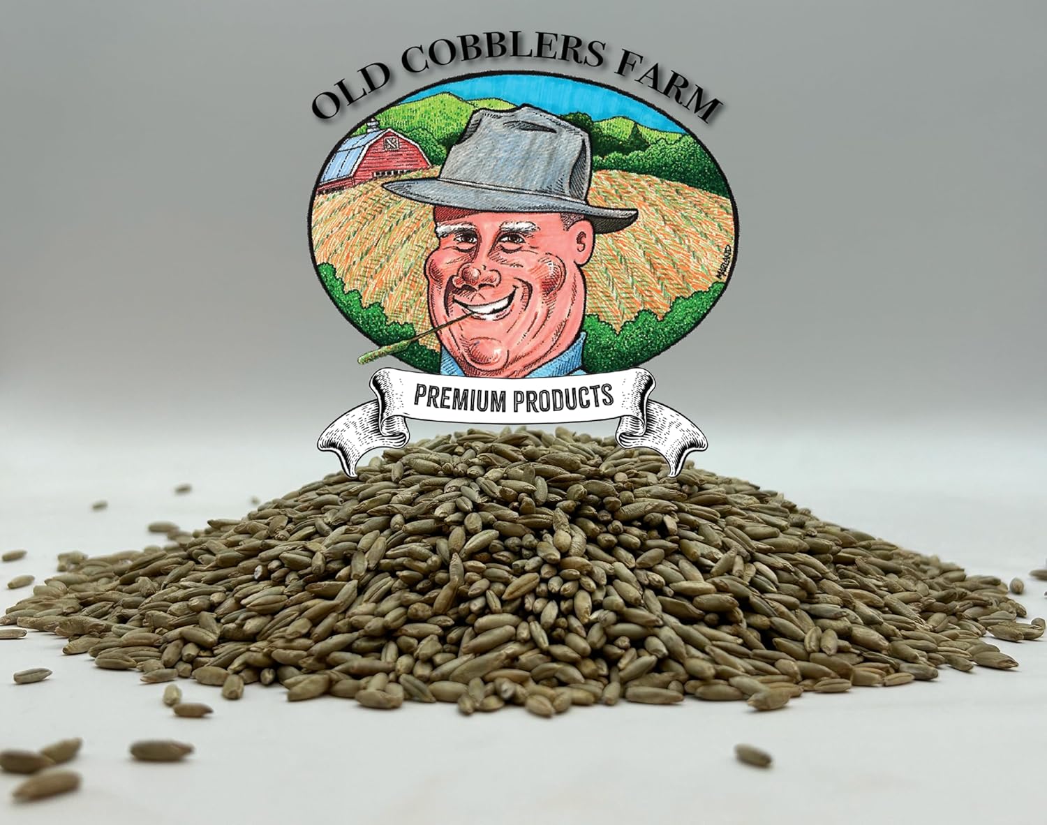 Winter Rye Grass Seed Grass Seed Fall Mix Ryegrass Seeds For Lawn No Till Food Plot Seed,Fall Cover Crop Seed Mix 10lbs by Old Cobblers Farm