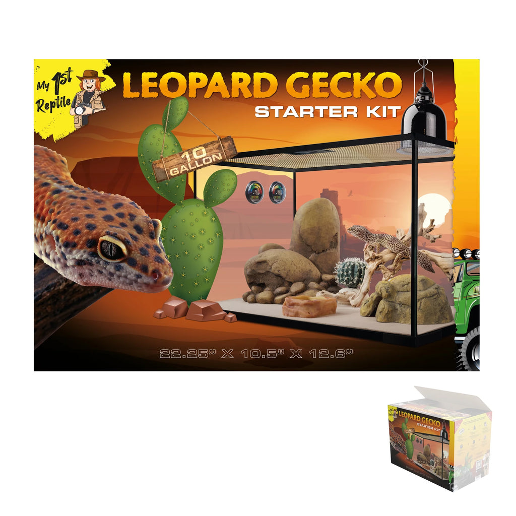 Leopard Gecko Reptile Starter Kit - Radiant Selections