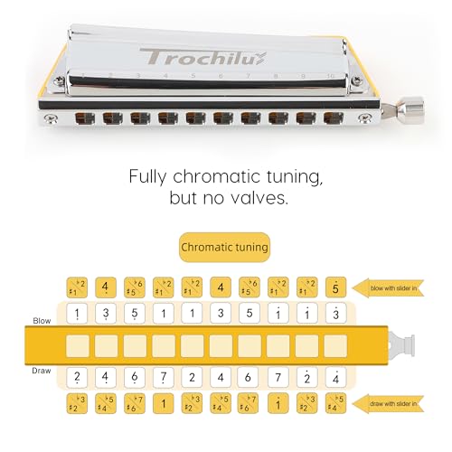 JDR Trochilus 10 Holes Chromatic Harmonica Key of Bb with Case Y291