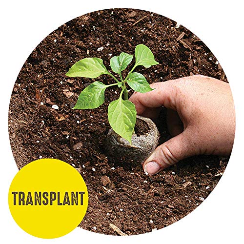 Seed Starting Tray Kit 36 Cell Peat Pellets 3 Pack a7