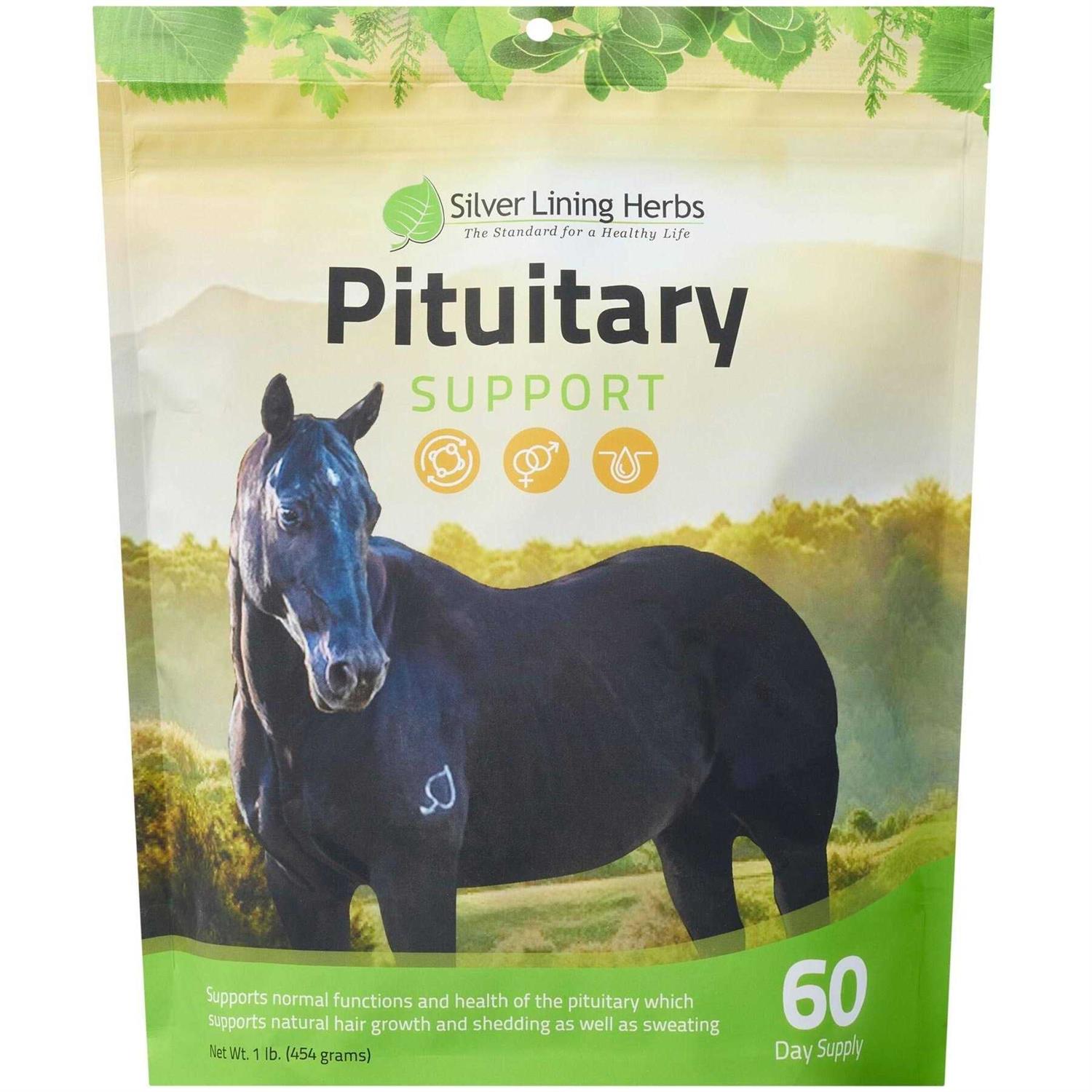 Silver Lining Herbs 28 Pituitary Support - Sports Supplies Online Store