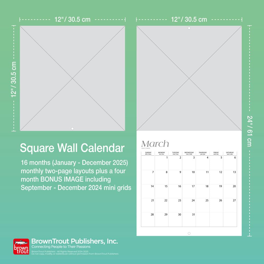 Mexican Kitchens 2025 12 x 24 Inch Square Wall Calendar | English/Spanish Bilingual | Plastic-Free | BrownTrout R88464