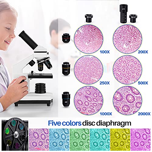 BEBANG Compound Microscope 100X-2000X for Adults Kids V42193