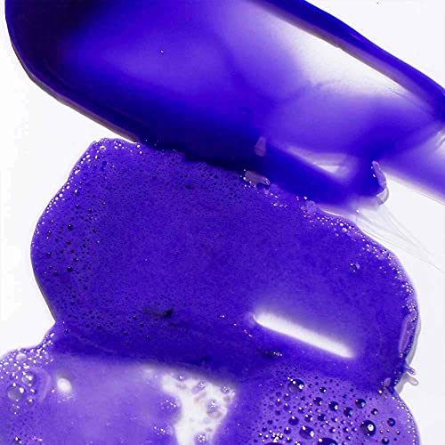 Pureology Strength Cure Blonde Purple Shampoo and Conditioner Set F8744