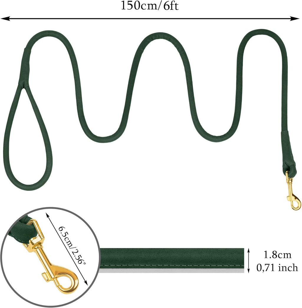 Small Rolled Leather Dog Collar and Leash Set Reflective 6ft Green H312705