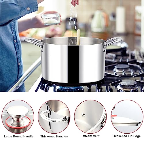 LIANYU 12QT 18/10 Stainless Steel Stock Pot with Lid V7290