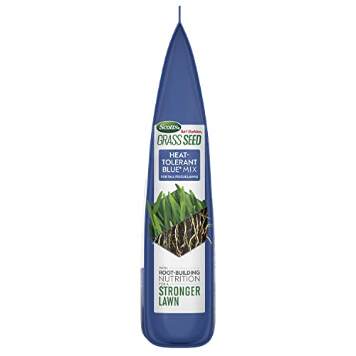 Heat-Tolerant Blue Mix Tall Fescue Lawn Seed with Fertilizer7k