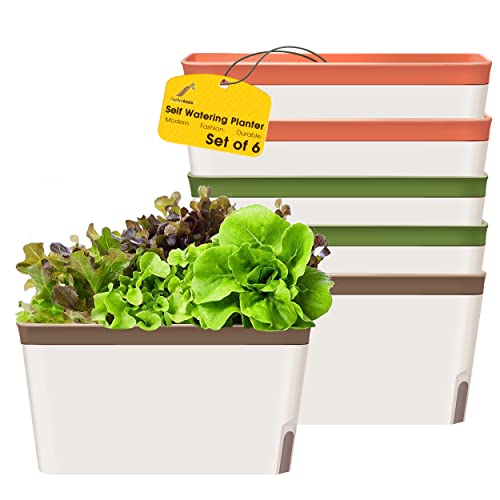 GardenBasix Self Watering Planter Pots Window Box for Indoor Plants Home Garden Modern Decorative Flower Pot for All House Herbs Succulents Set of 6 (6, Green)